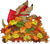 a dog playing in leaves